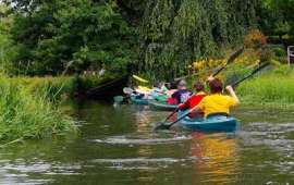 Paddeln im Spreewald