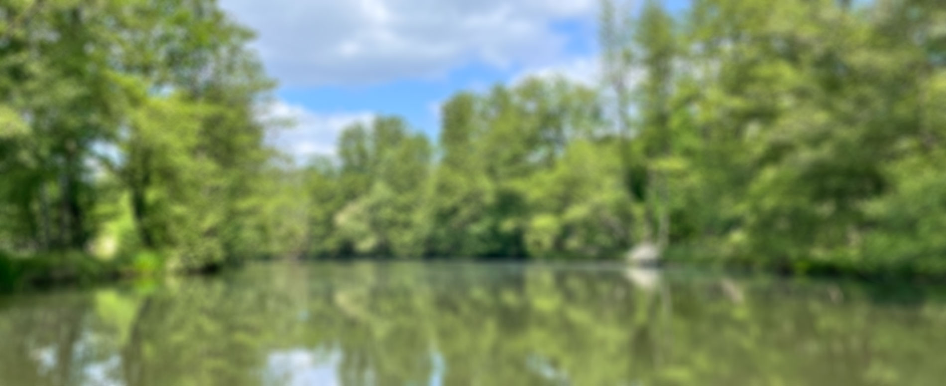 Spreewald Urlaub im Frühling