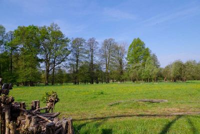 Bild folgt Bild folgt