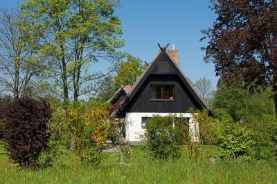 Ferienhaus im Spreewald Ferienhaus im Spreewald