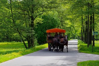Spreewald Kremser Reiterferien