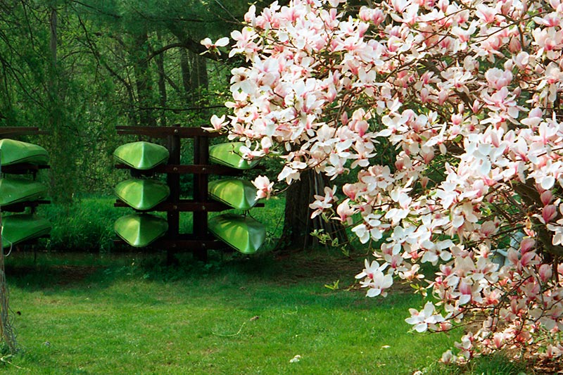 Frühling im Spreewald