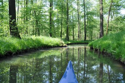 im Frühling unterwegs im Frühling unterwegs