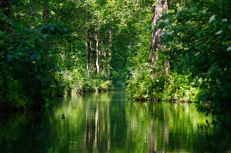 Spreewald