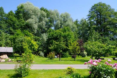 im Barfuss Park im Barfuss Park