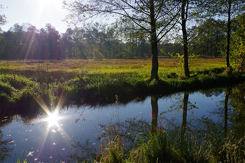 Sonnenaufgang im Spreewald Sonnenaufgang im Spreewald