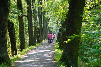 Radweg von Leipe nach Lehde