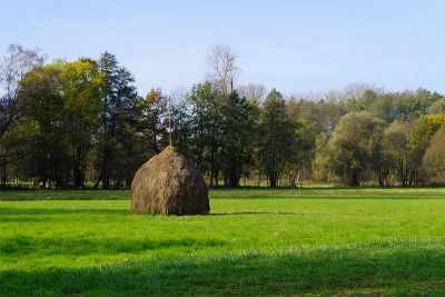 Radtour zum Hochwald entdecken