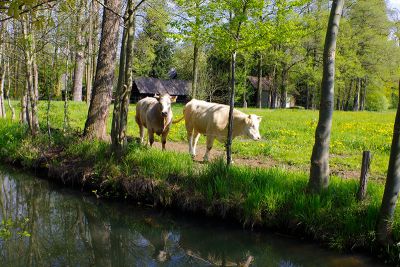 Fließ Kanal im Spreewald die wahre Geschichte