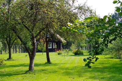 alle Ferienwohnungen in Lübbenau