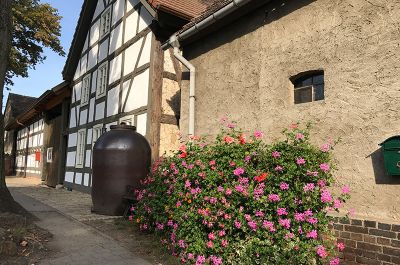 alle Ferienwohnungen in Schlepzig