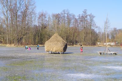 Schlittschuhlaufen auf der Wiese bei Lehde Schlittschuhlaufen auf der Wiese bei Lehde