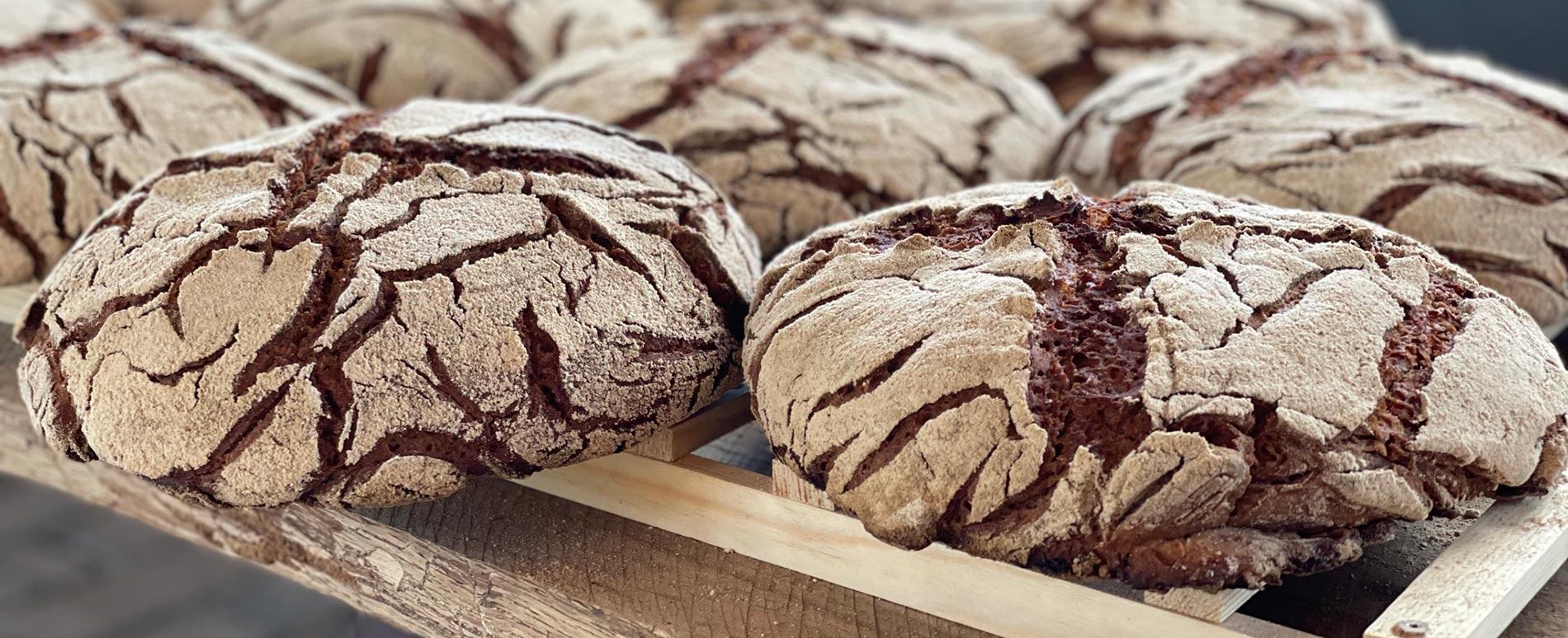 Brot aus dem Backofen