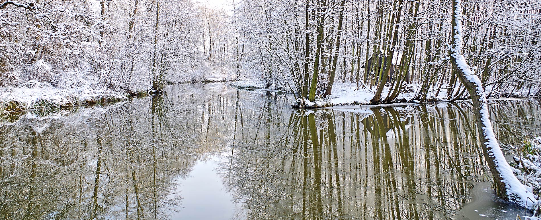 Winter Paddeln im Spreewald