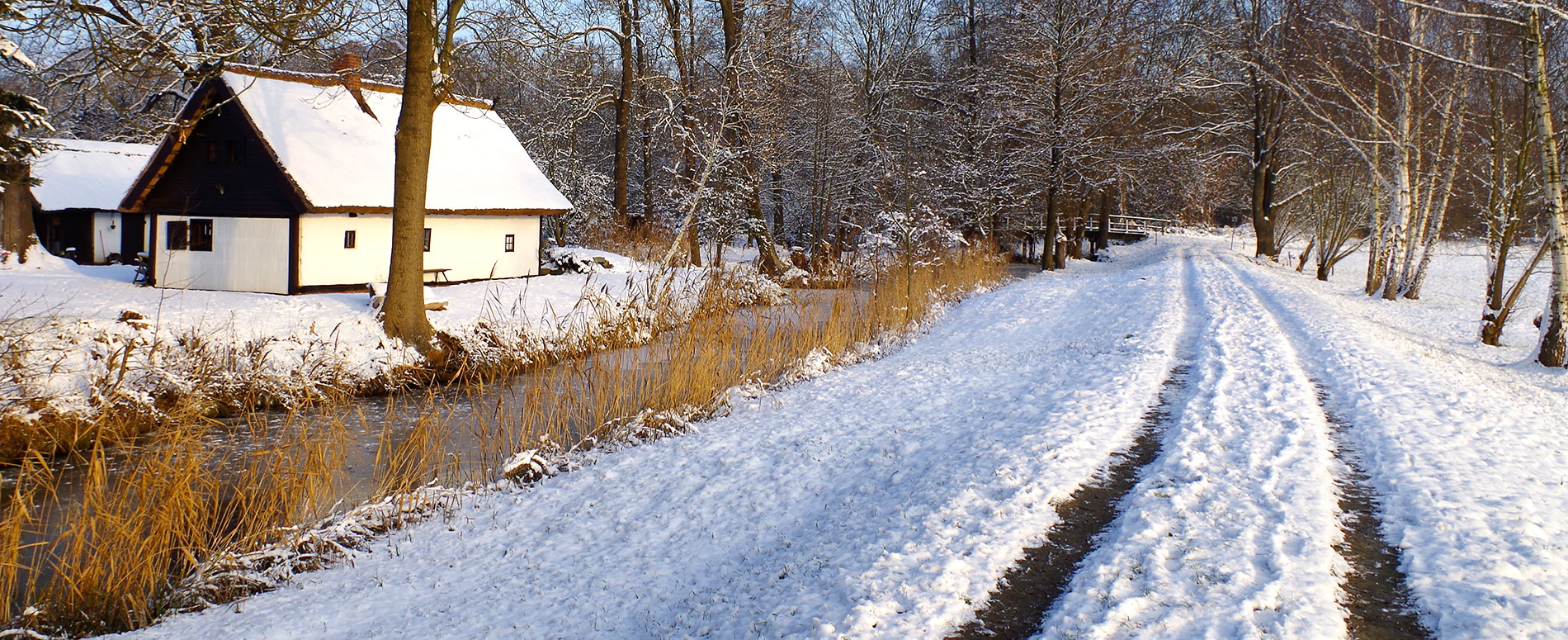 Winterwandern im Spreewald